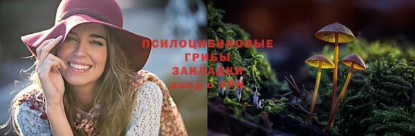 сатива Абдулино