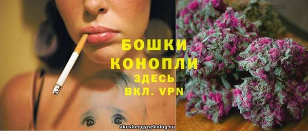 сатива Абдулино