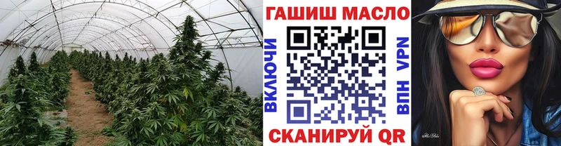 ТГК Wax  Красный Сулин 