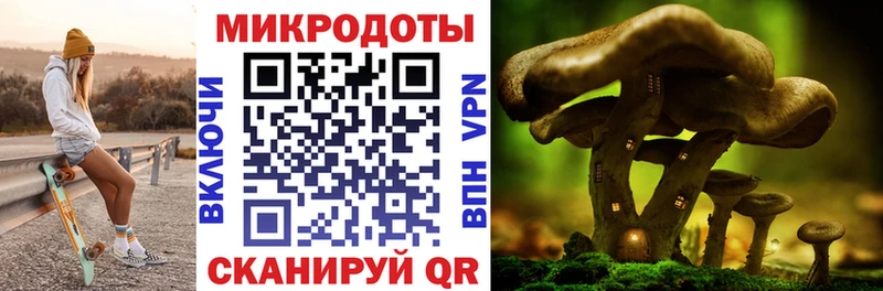 как найти закладки  блэк спрут как войти  Галлюциногенные грибы Psilocybine cubensis  Красный Сулин 